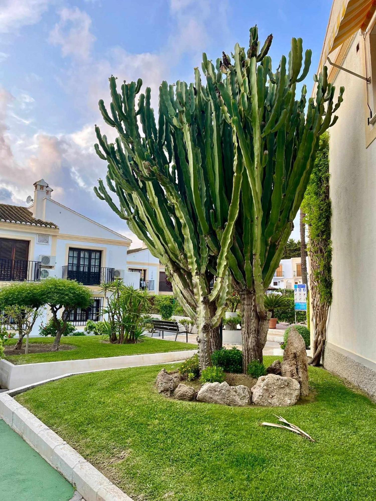 Apartamento Vera Coast 123 Playas de Vera Extérieur photo
