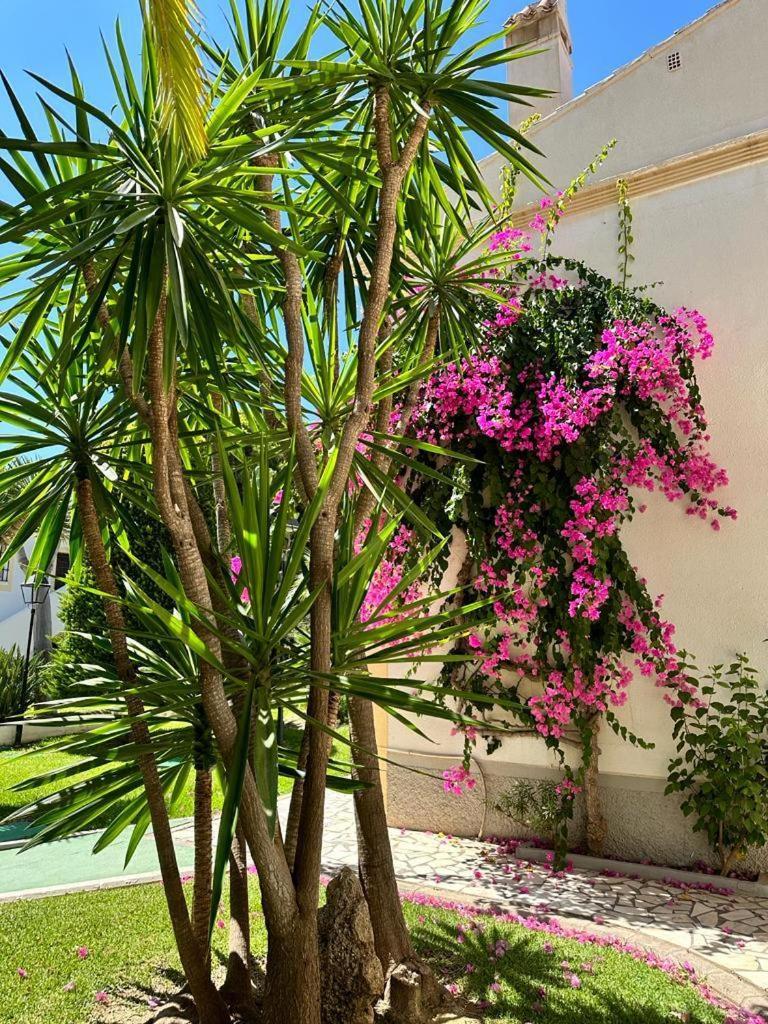 Apartamento Vera Coast 123 Playas de Vera Extérieur photo